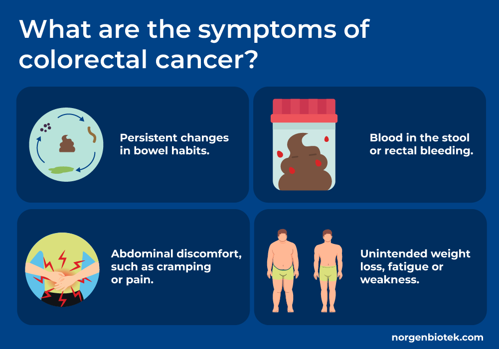 Illustration of colorectal cancer symptoms, including persistent changes in bowel habits, blood in the stool or rectal bleeding, abdominal discomfort or cramping, and unintended weight loss, fatigue, or weakness.